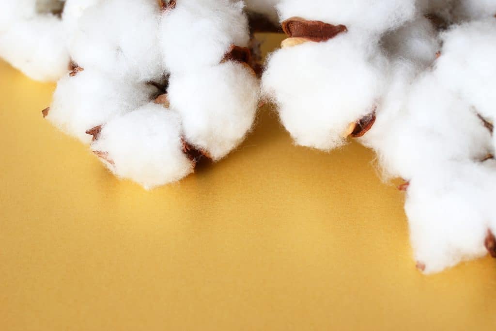Textile image illustrating cotton vs poly-cotton