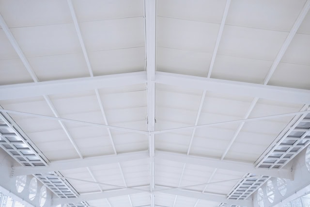 Canvas Ceiling